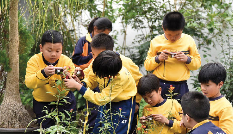 教育傳媒：學校雖然位置較為偏遠，但其森林般的校園設計卻是其珍貴之處，讓小朋友從小培養親近大自然的興趣。