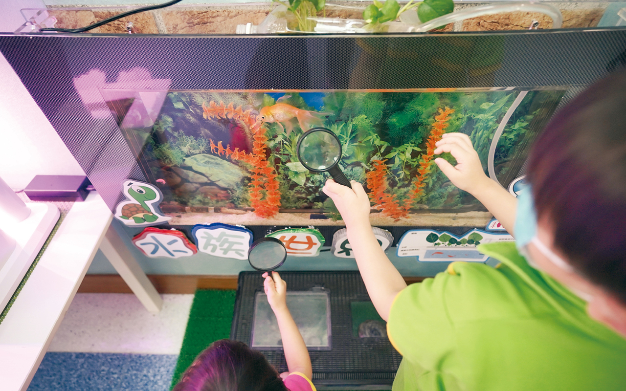學校亦積極推動環境教育工作，設置了生態園地，讓學童藉着生態缸觀賞和照顧不同的小動物，利用水耕種植了解不同的蔬菜，增加他們對生態的認識，並培育保育意識。