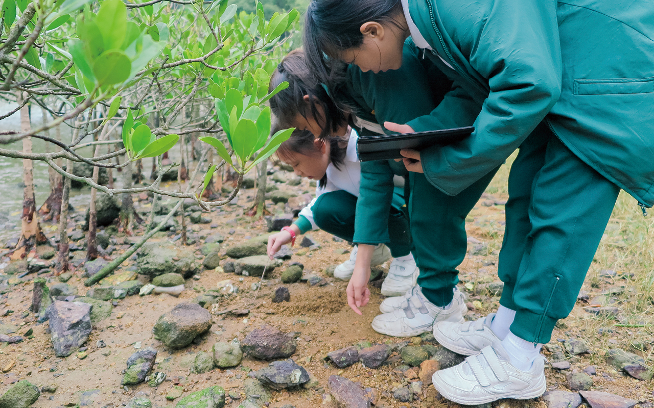 大埔滘自然護理區實地觀察、研習植物的生長與周圍環境的影響