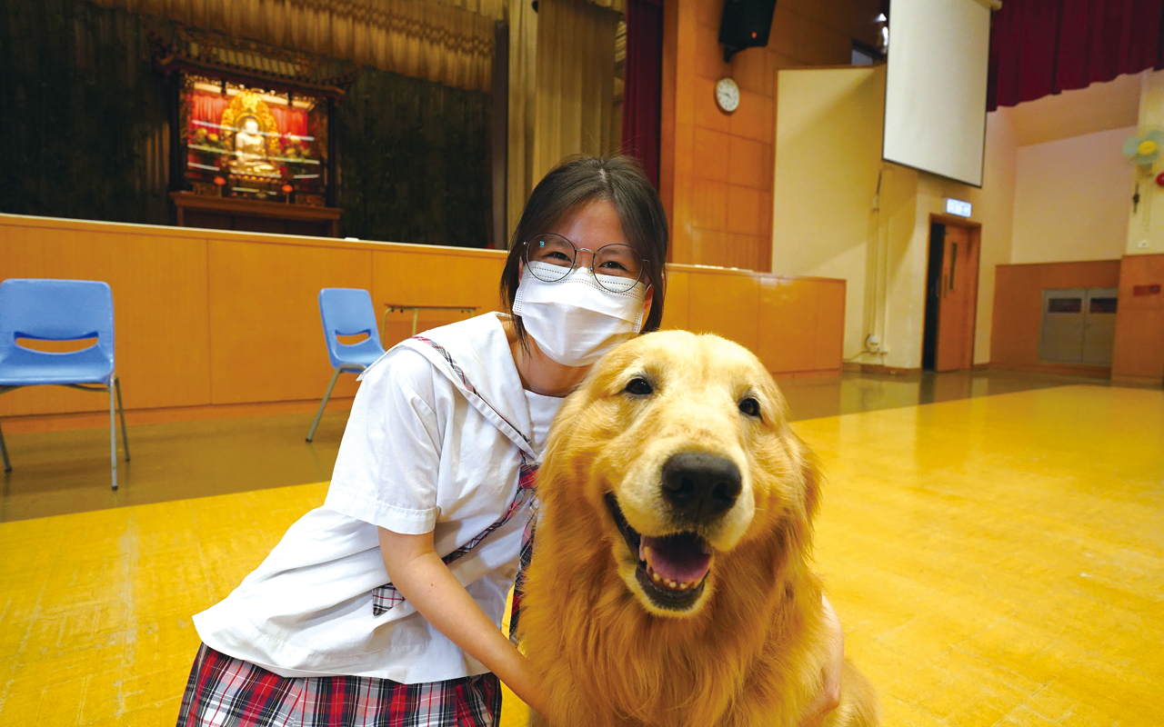 學校重視培育學生的品德及愛心，作為全港唯一一所與香港狗會合作的學校，共同開展「Pet Pet Buddy愛心小夥伴」計劃，透過讓學生參與犬隻訓練課程，滲入生命教育元素。