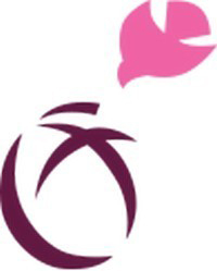 基督教神召會合一堂幼稚園assembly Of God Union Church Kindergarten Aoguck Goodschool好學校